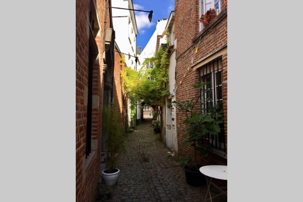 En Plein Coeur De Bruxelles. Superbe Duplex.A Voir! Exterior photo